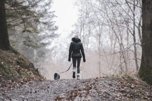 Mujer con un perro de espaldas paseando por el bosque